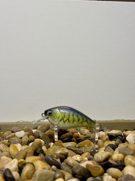 Crappie 1.5 Squarebill Crankbait