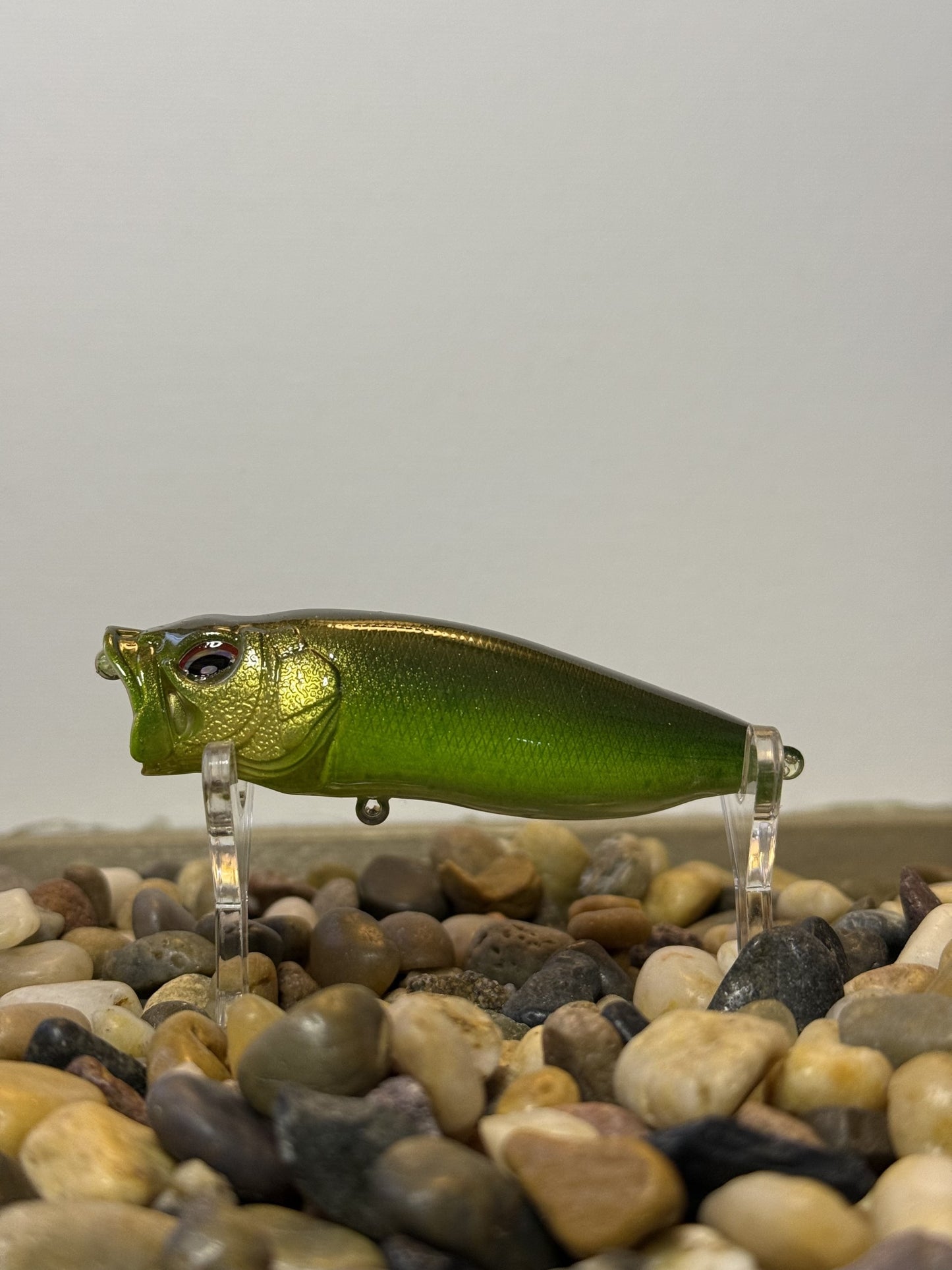 Bull Frog Popper