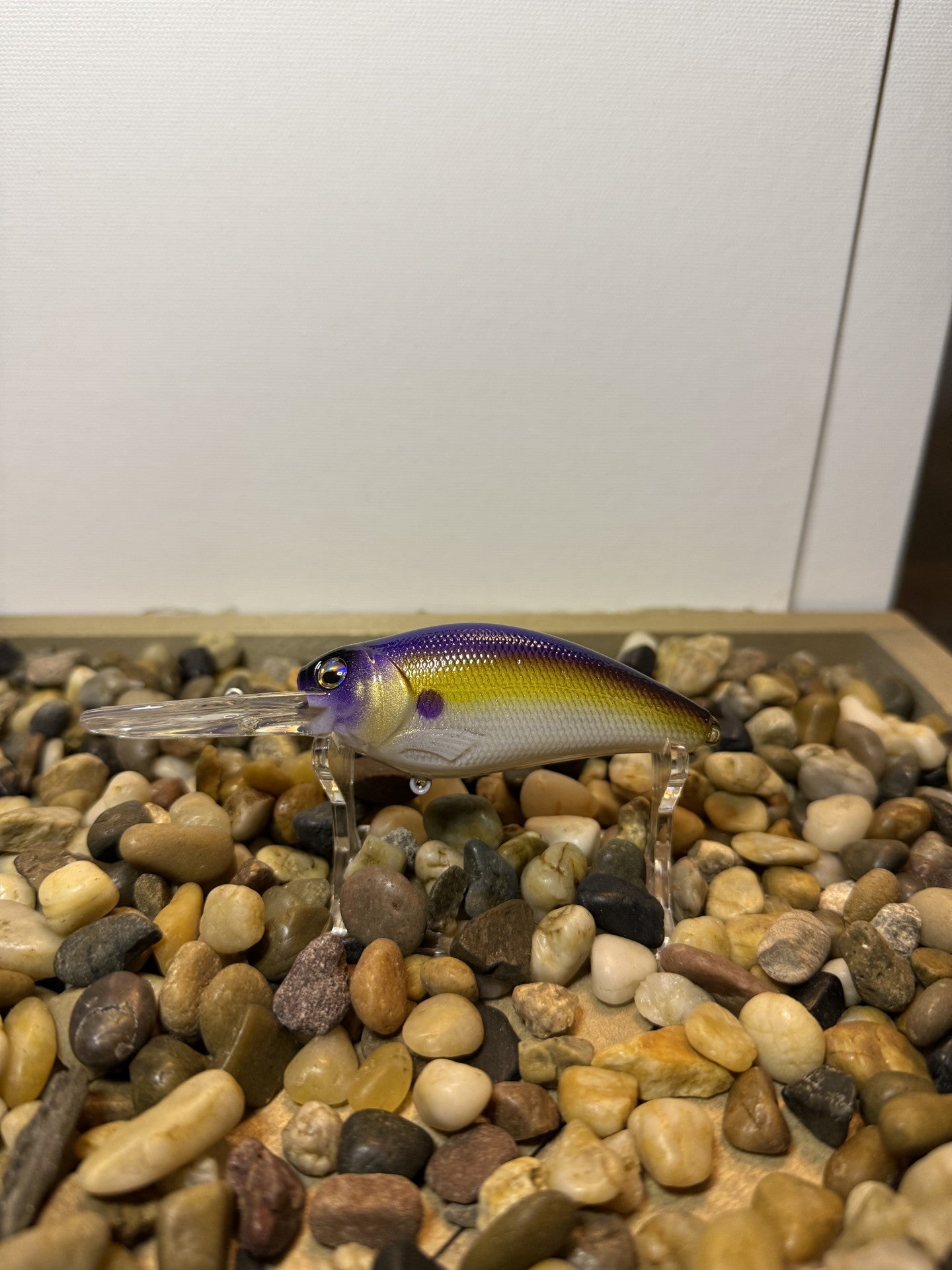 Midnight Sunrise Shad 3.5 Diver Crankbait